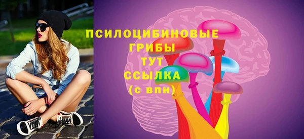 дмт Алексин