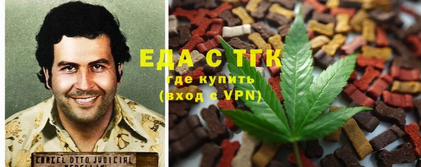 дмт Алексин
