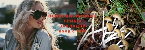 apvp Алексеевка