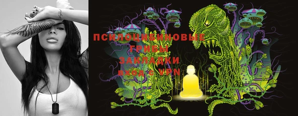 apvp Алексеевка