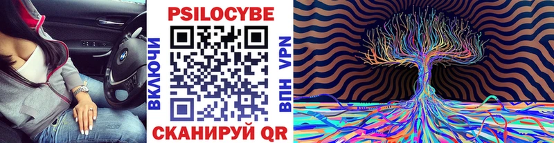Галлюциногенные грибы мухоморы  цена наркотик  блэк спрут ссылки  Порхов 